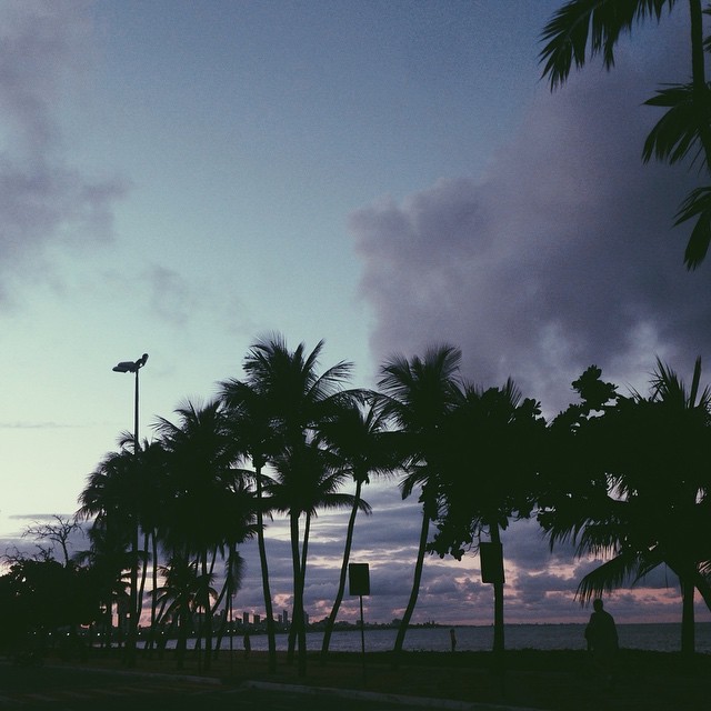 Archillect ID 377070