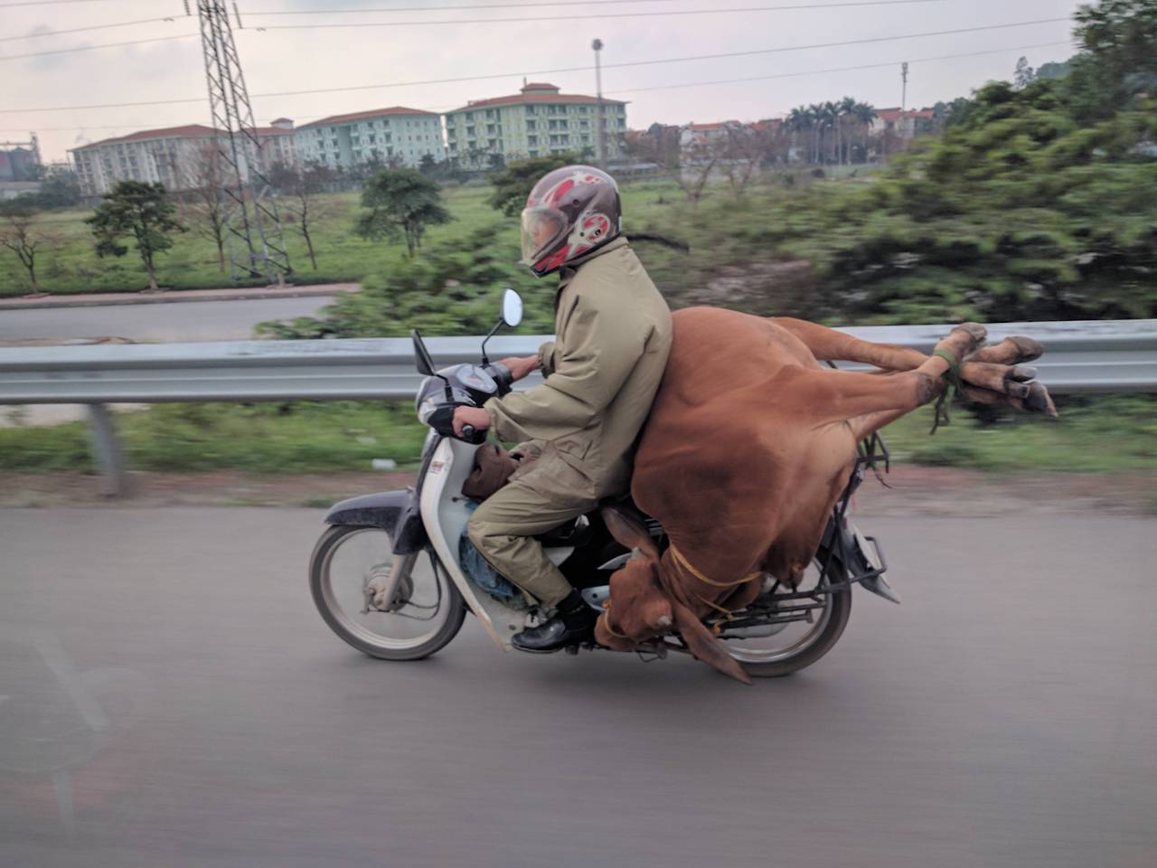 Archillect ID 377090