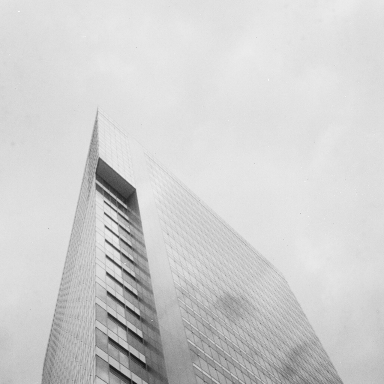 Archillect ID 377107