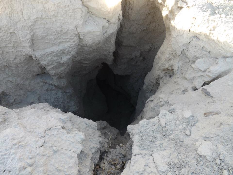 Archillect ID 377109