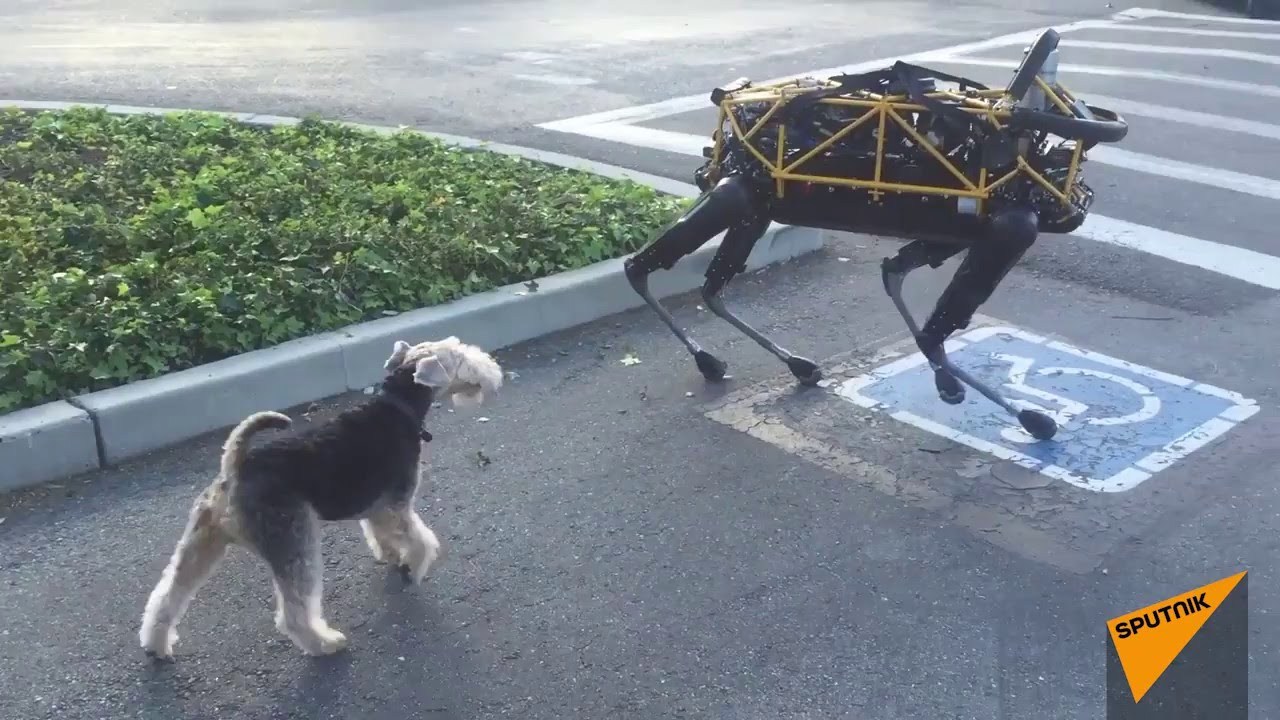 Archillect ID 377127