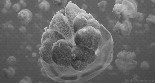 Archillect ID 377182