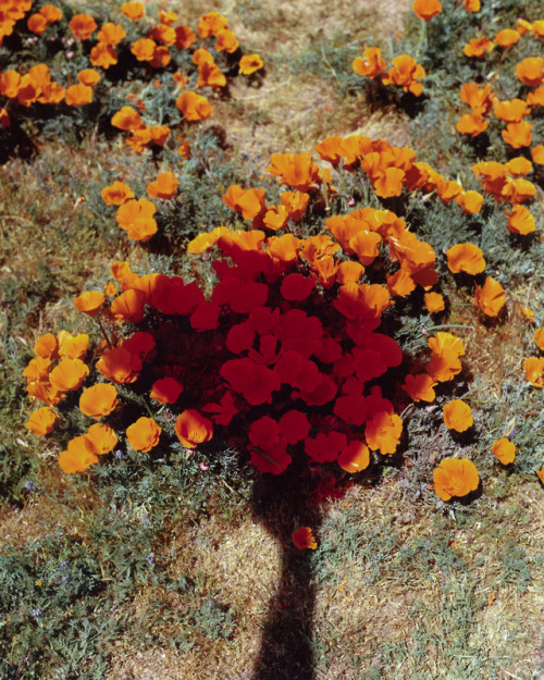 Archillect ID 377197