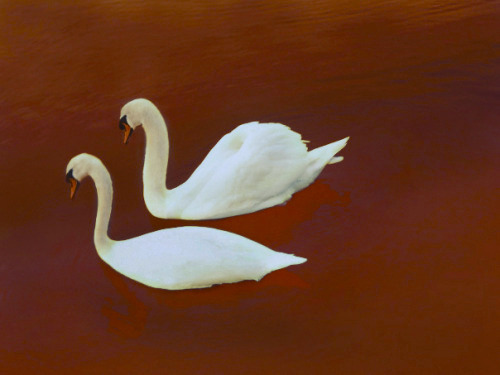 Archillect ID 377216