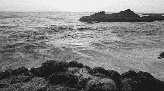 Archillect ID 377225