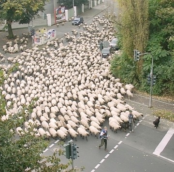 Archillect ID 377236