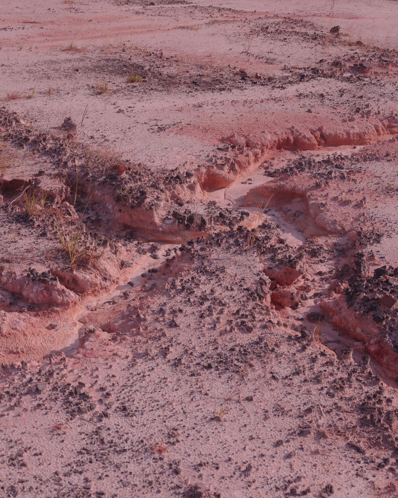 Archillect ID 377270