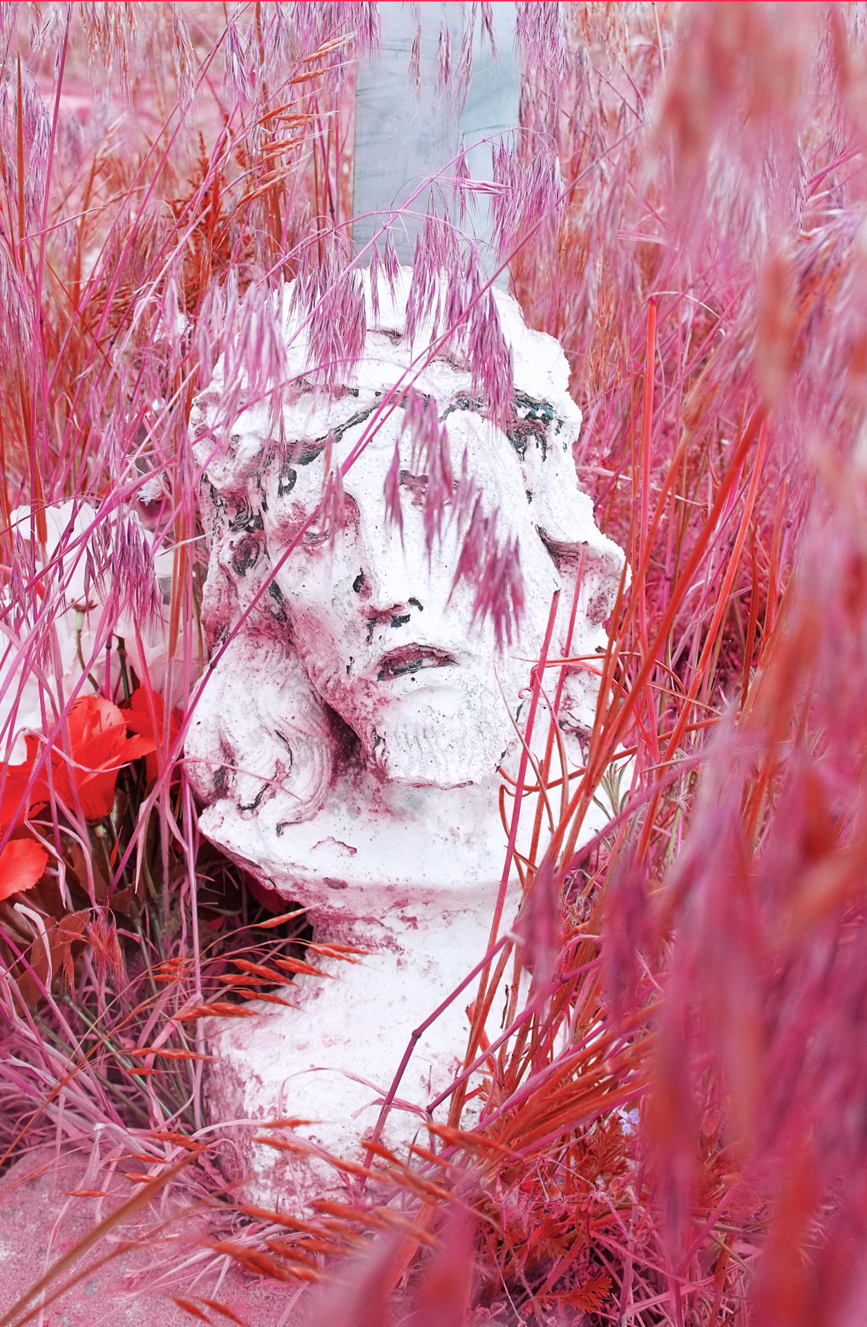 Archillect ID 377291