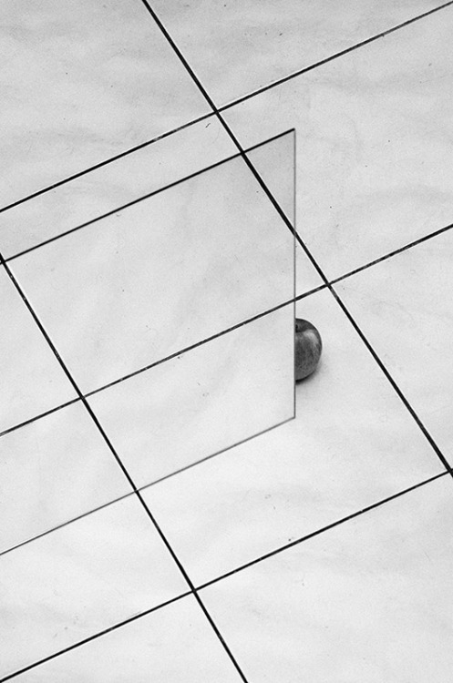 Archillect ID 377296