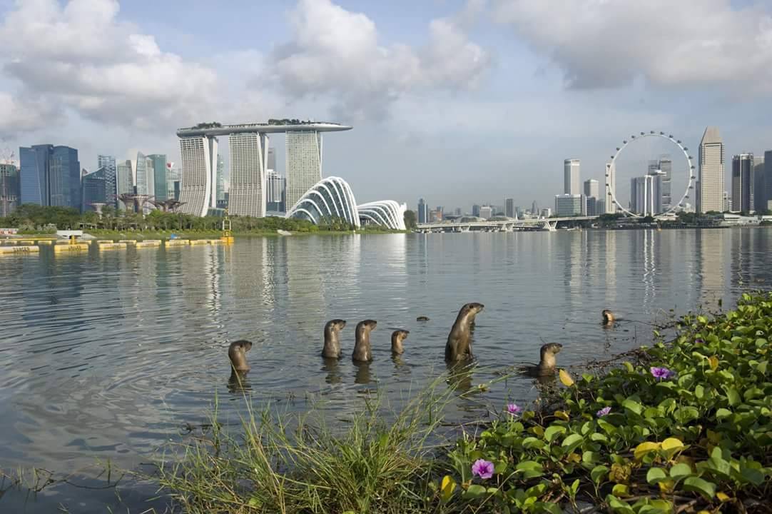 Archillect ID 377302