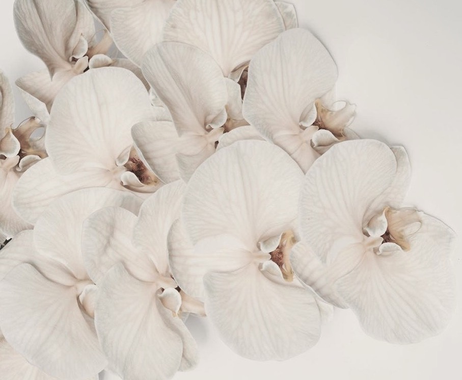 Archillect ID 377317