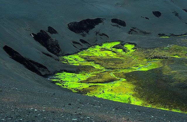 Archillect ID 377358