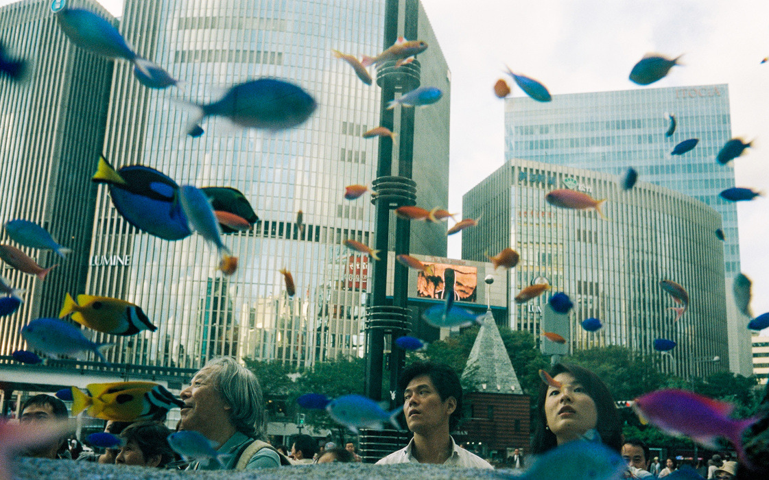 Archillect ID 377374