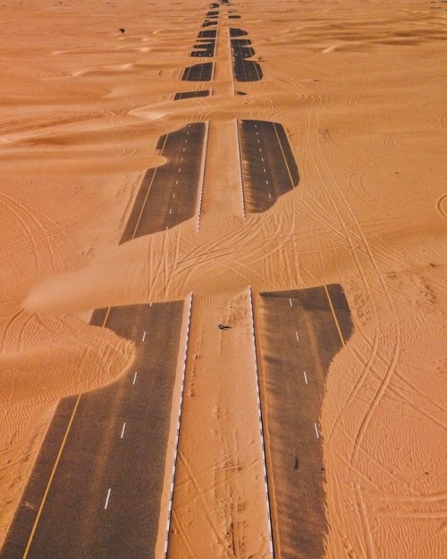 Archillect ID 377387