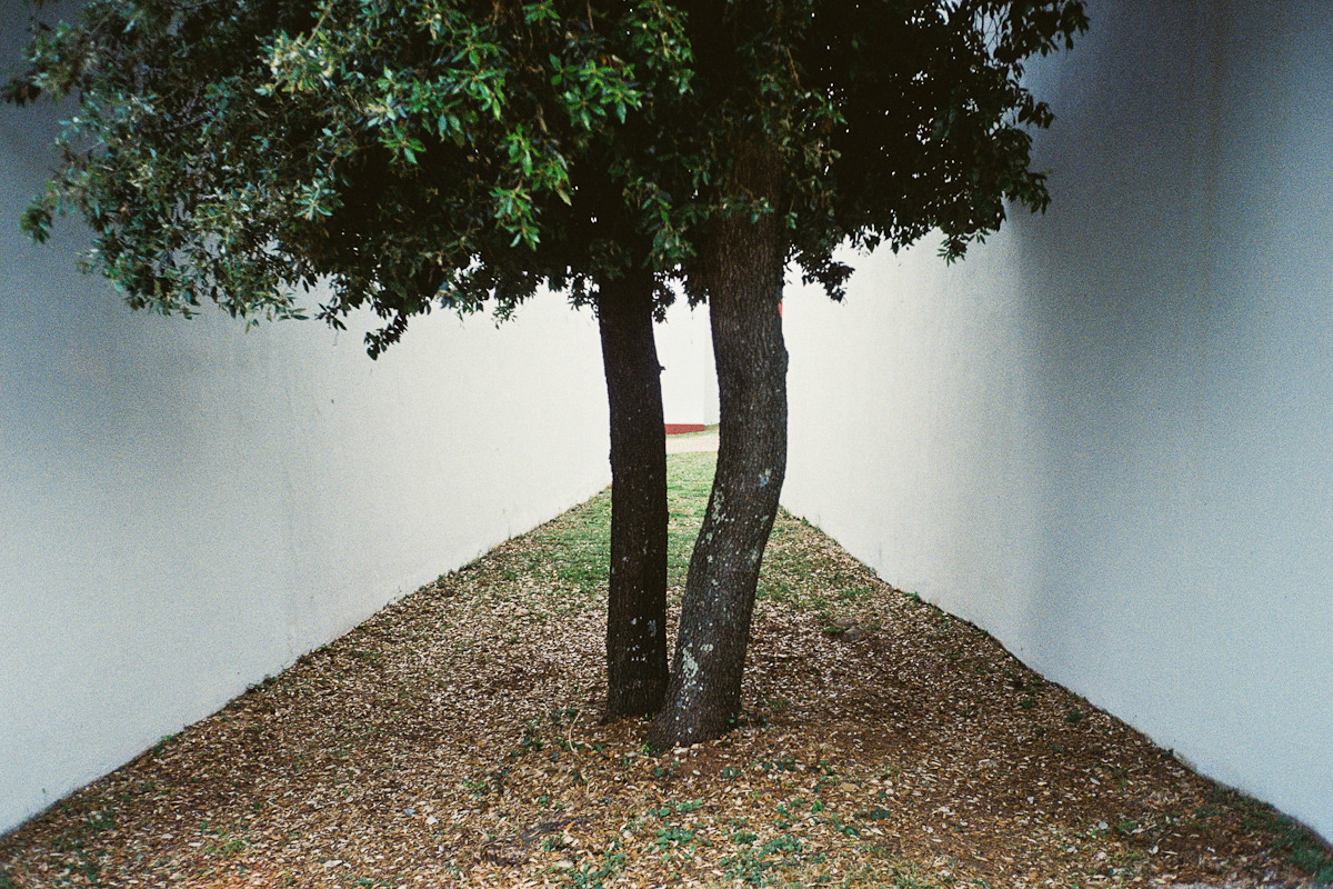 Archillect ID 377415