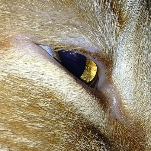 Archillect ID 377444