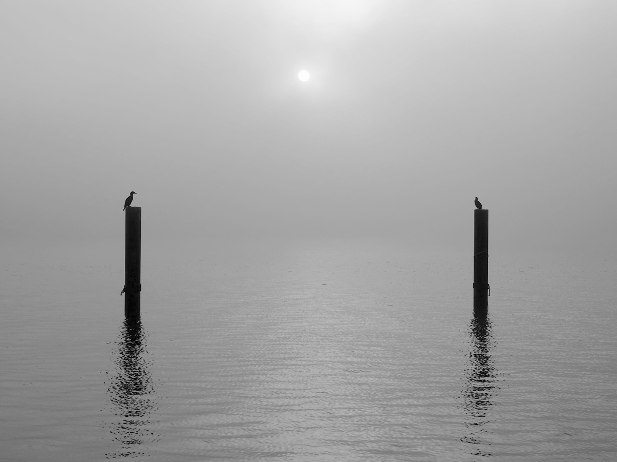 Archillect ID 377477