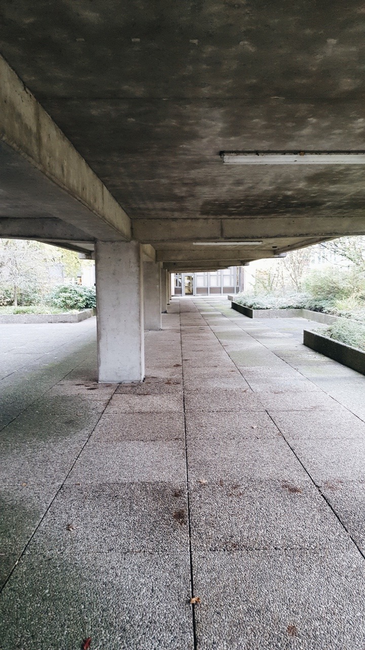 Archillect ID 377479