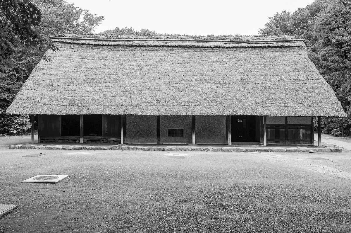 Archillect ID 377499