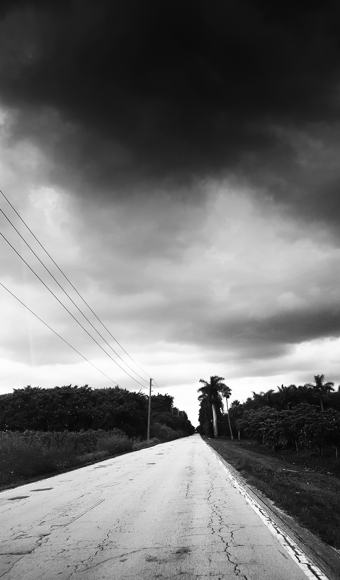 Archillect ID 377518