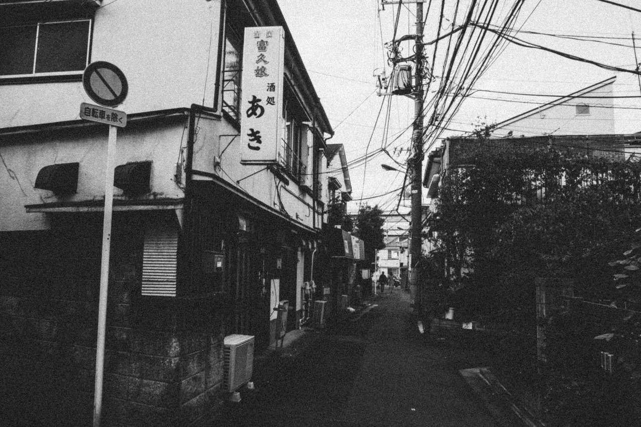 Archillect ID 377565