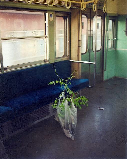 Archillect ID 377585