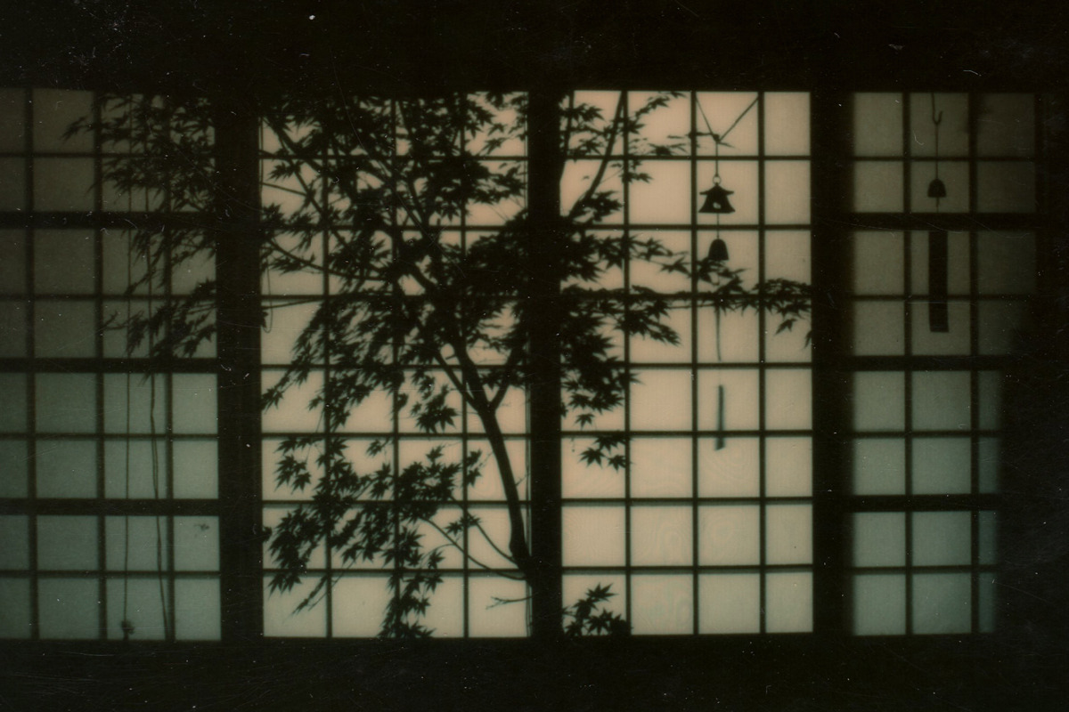 Archillect ID 377590