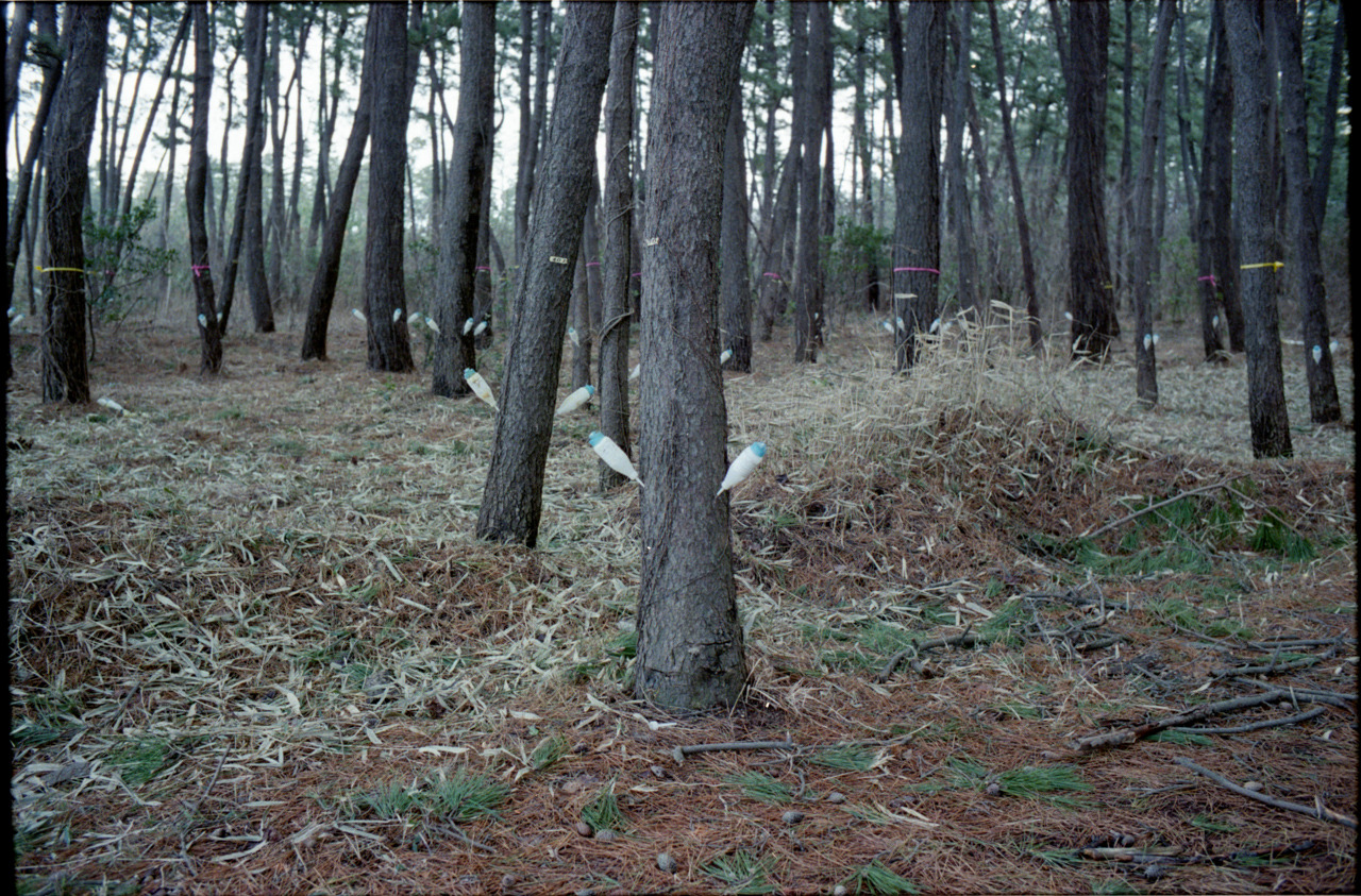 Archillect ID 377605