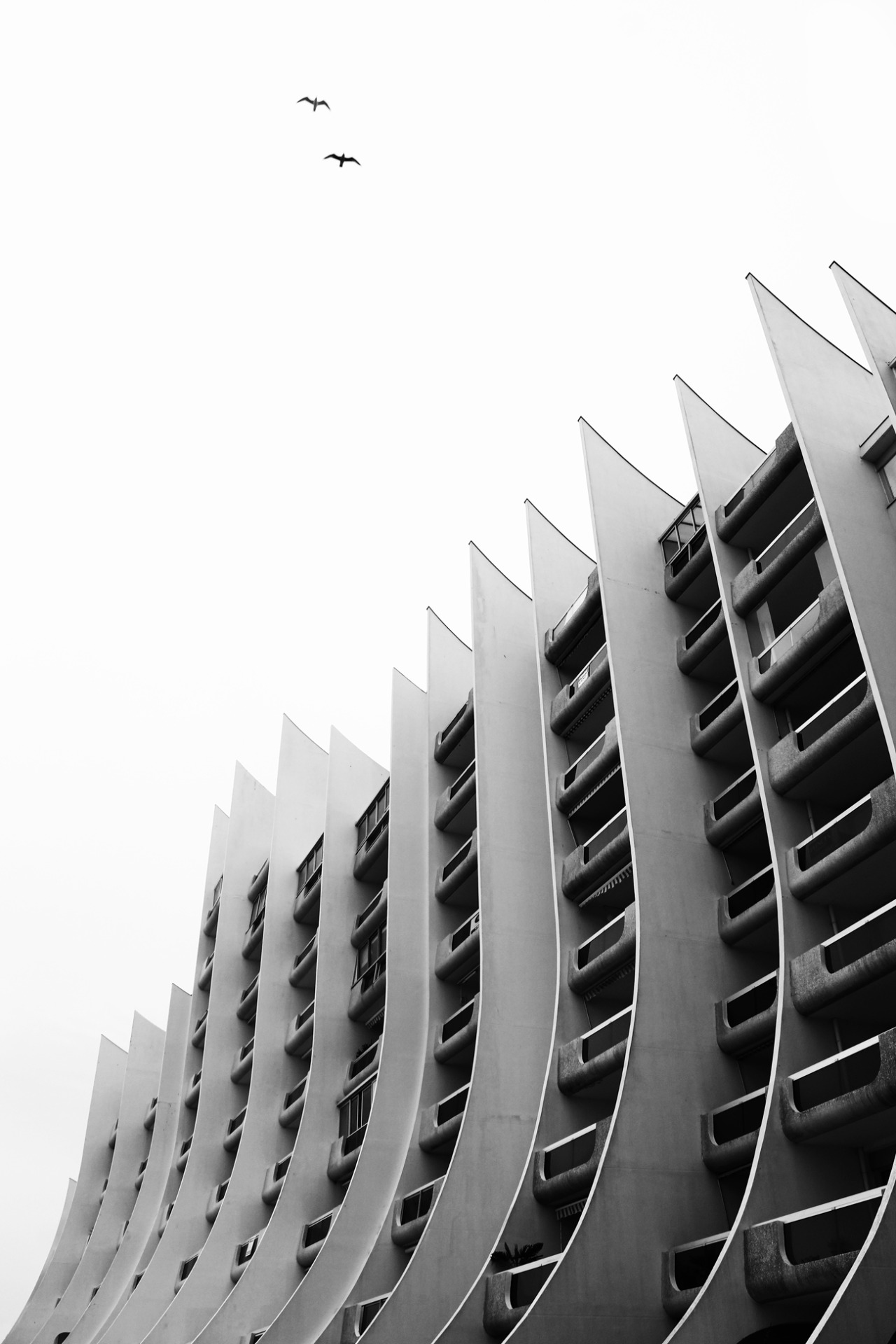 Archillect ID 377644