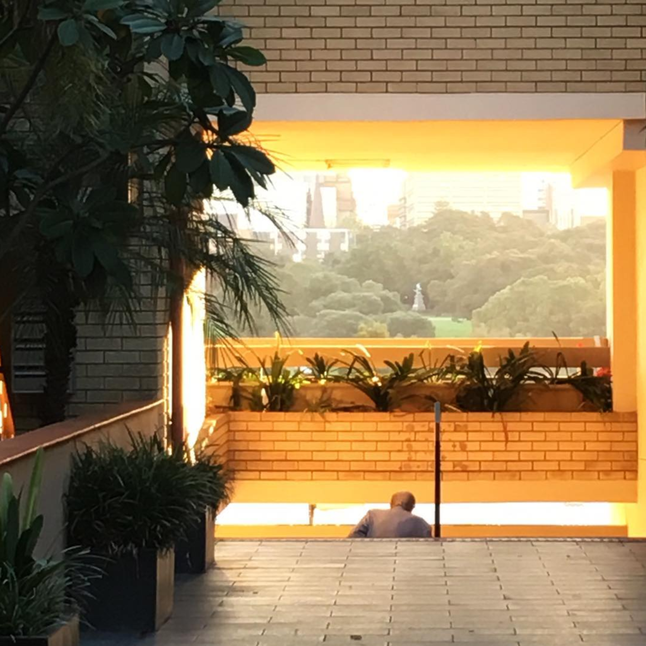 Archillect ID 377665