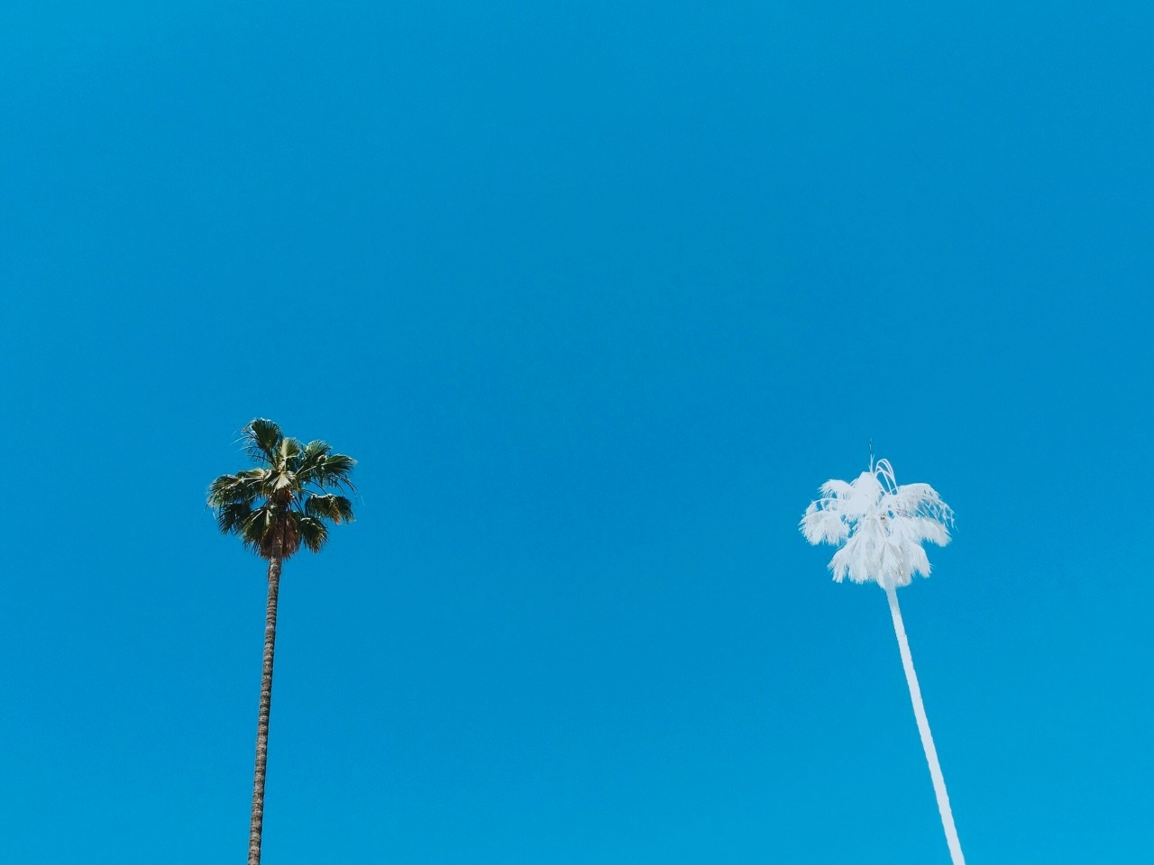 Archillect ID 377689