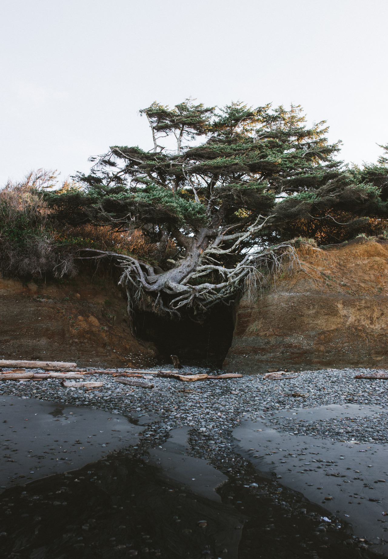 Archillect ID 377700