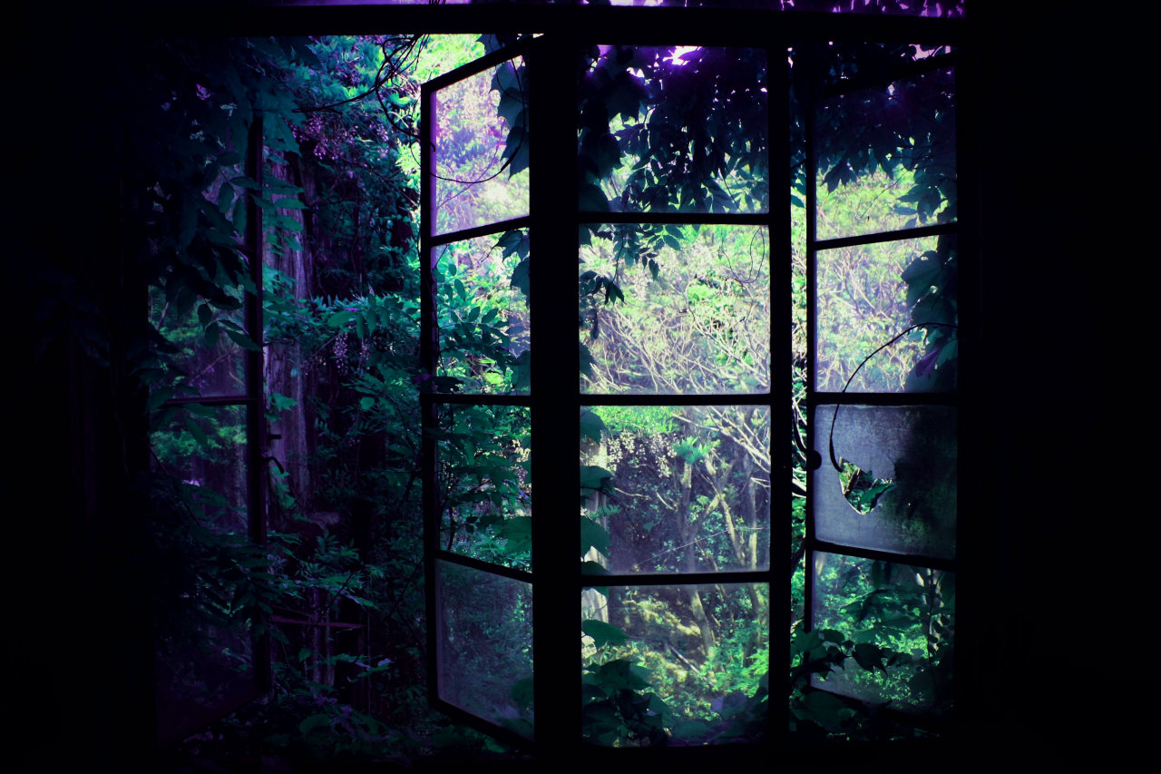 Archillect ID 377707