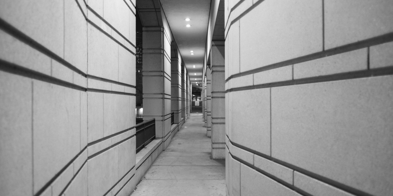 Archillect ID 377712