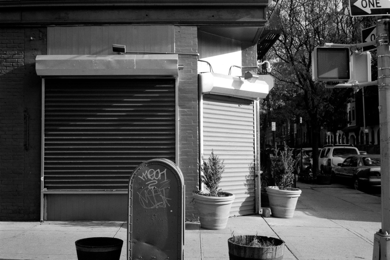 Archillect ID 377736