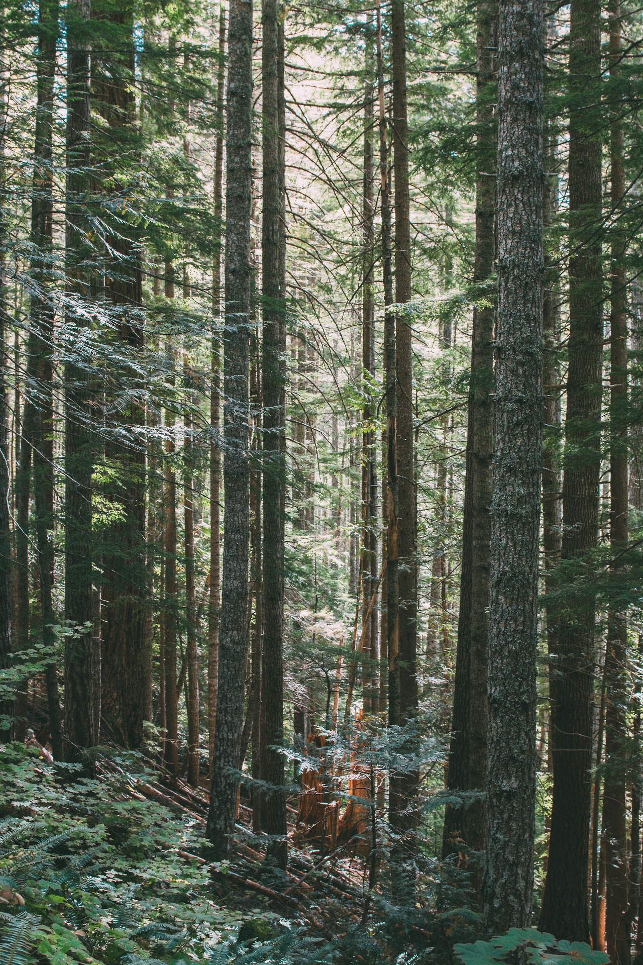 Archillect ID 377737