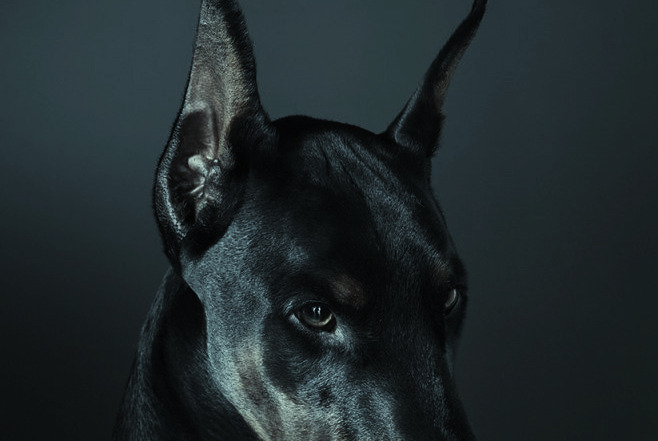 Archillect ID 377743