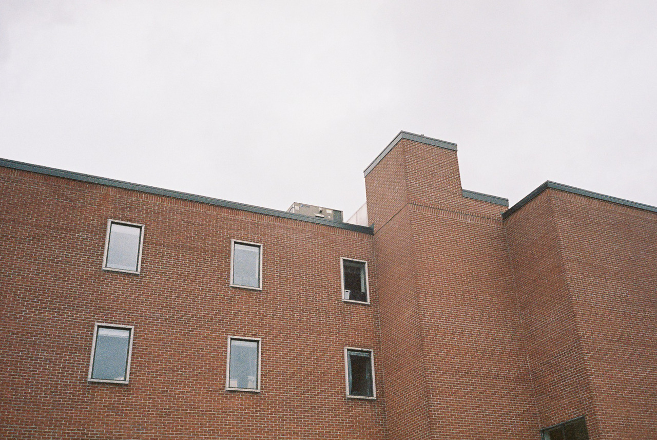 Archillect ID 377751