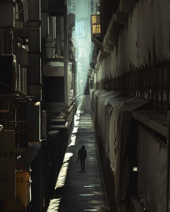 Archillect ID 377770