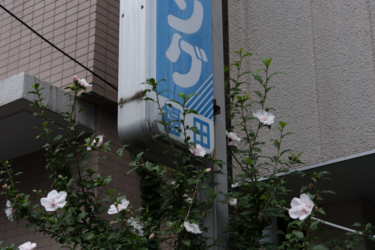 Archillect ID 377789