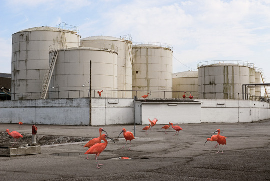 Archillect ID 377792