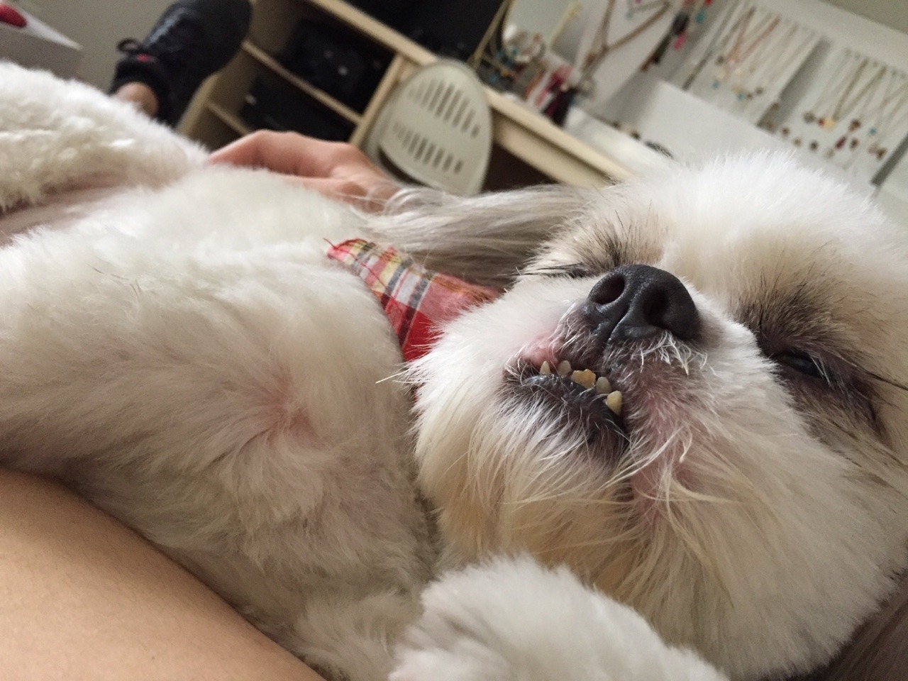 Archillect ID 377831