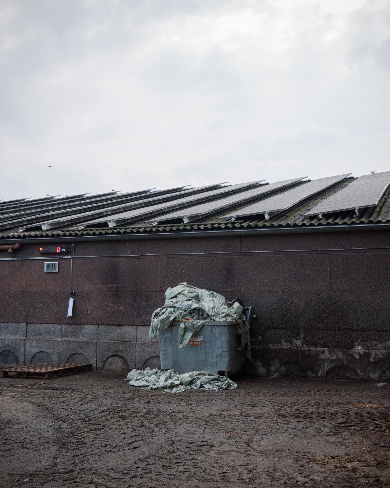 Archillect ID 377841