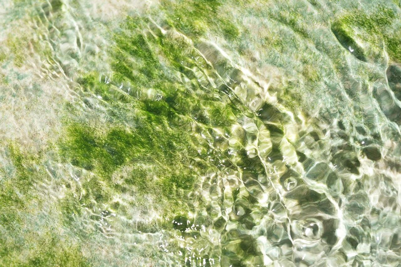 Archillect ID 377882