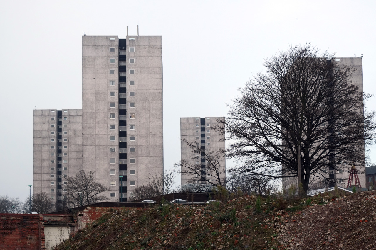 Archillect ID 377898