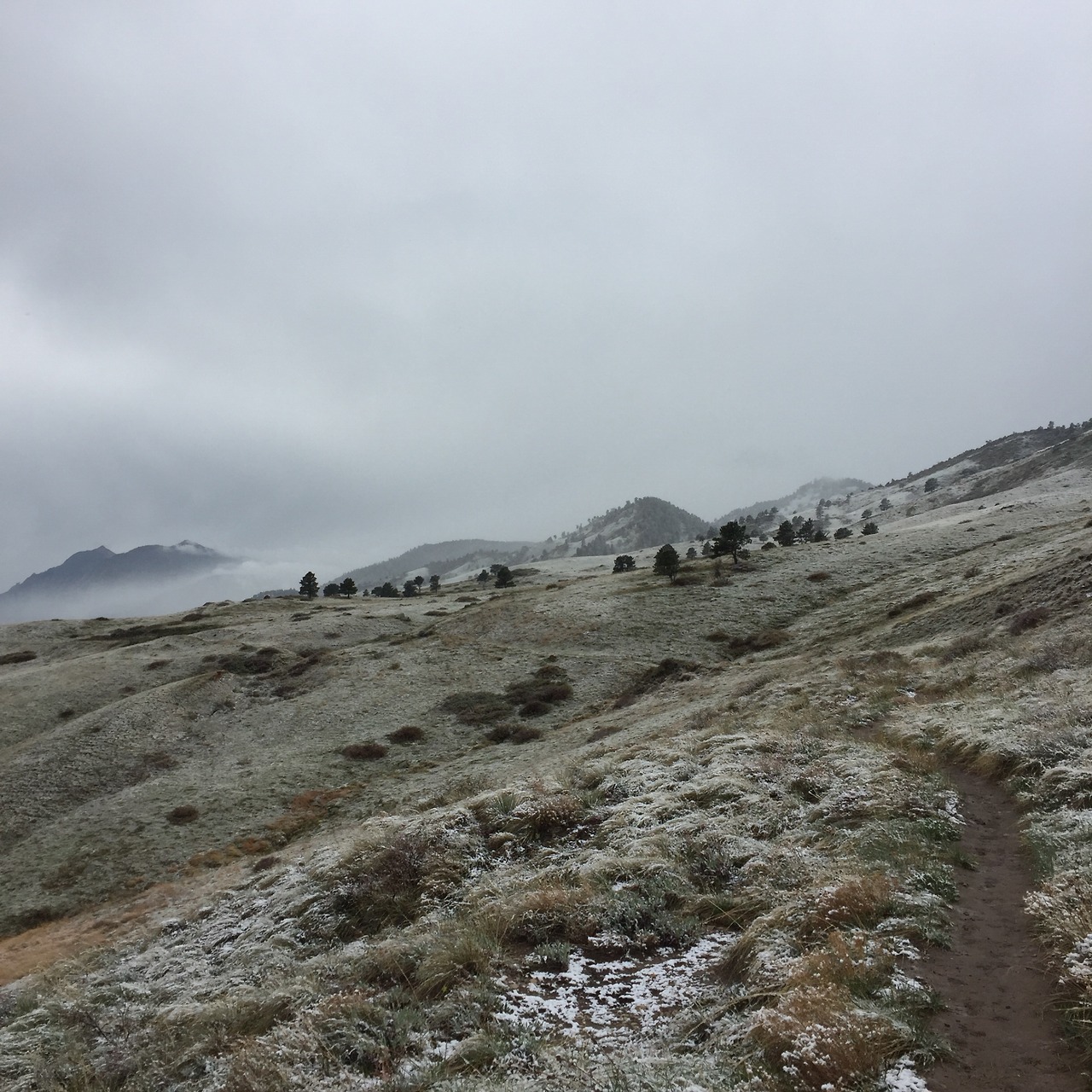 Archillect ID 377919