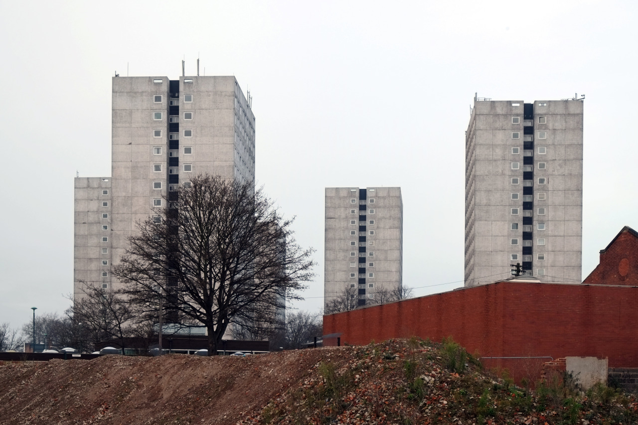 Archillect ID 377930