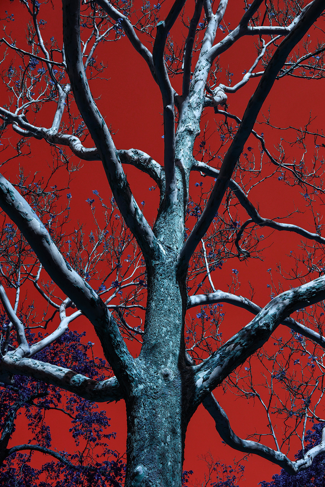 Archillect ID 377944