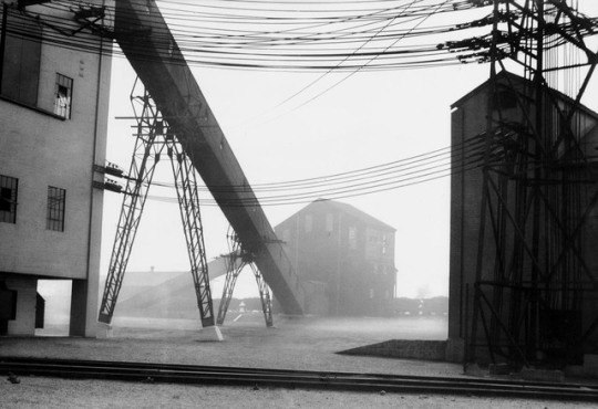 Archillect ID 377971