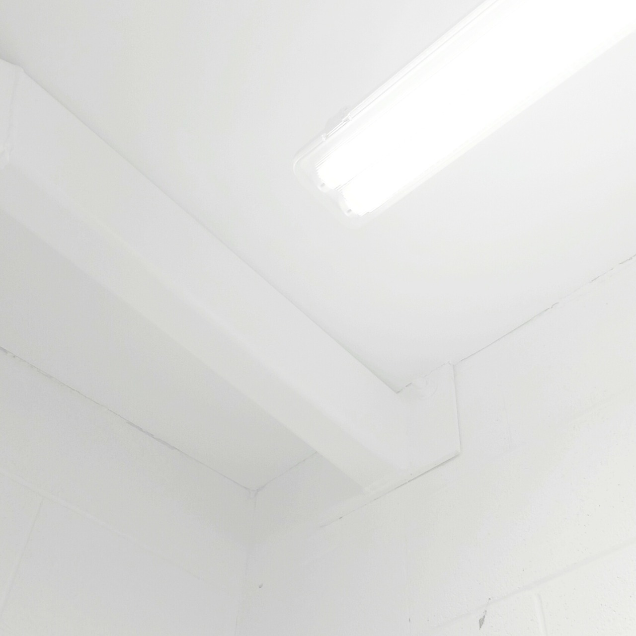 Archillect ID 378023